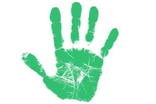 miniature de Main Verte