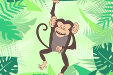 miniature de Quart de Singe